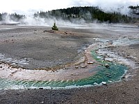 Yellowstone Norris Geyser (102).JPG